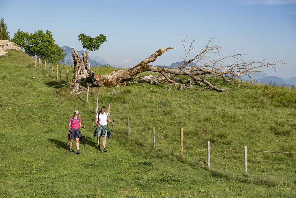 wanderferien.jpg