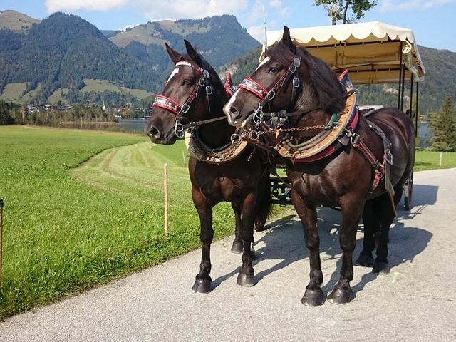 Reitanlage Dagnhof  - 3D Rundgang