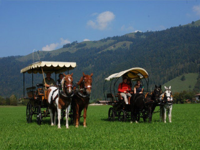 Reiterhof Dagnhof in Walchsee 